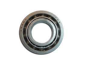 Rear axle differential bearing