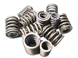 Valve springs, outer and inner