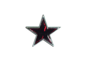 Звезда заводского знака в сборе