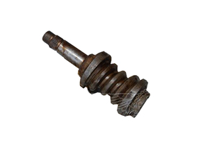 Shaft with a worm screw assy